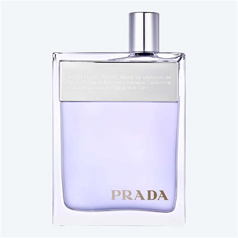 pure parfum prada|prada man amber pour homme.